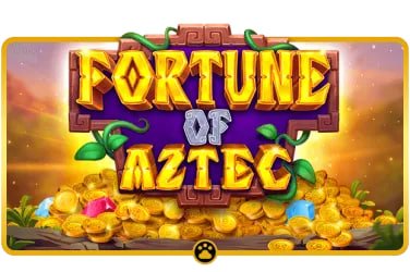 Sports betting odds interface on bingo789 platform for Filipino players